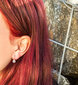 Beneto Kullatud kõrvarõngad läbipaistvate tsirkoonidega AGUC2231-ROSE цена и информация | Kõrvarõngad | hansapost.ee