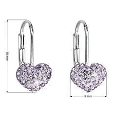 Серьги-сердечки с кристаллами Evolution Group 31125.3 фиолетовые цена и информация | Серьги | hansapost.ee