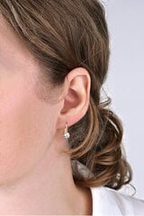 Kuldsed kõrvarõngad naistele Brilio 236 001 00771 sBR1011 hind ja info | Kõrvarõngad | hansapost.ee