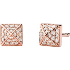 Naiste Kõrvarõngad Michael Kors Spring 2020 price and information | Earrings | hansapost.ee