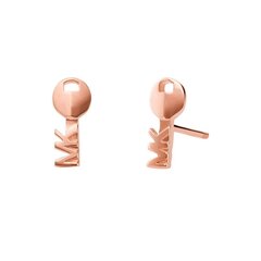 Naiste Kõrvarõngad Michael Kors Stud price and information | Earrings | hansapost.ee