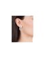 Terasest kõrvarõngad naistele tsirkooniumiga Viceroy Chic 75279E01000 sVR0256 цена и информация | Kõrvarõngad | hansapost.ee