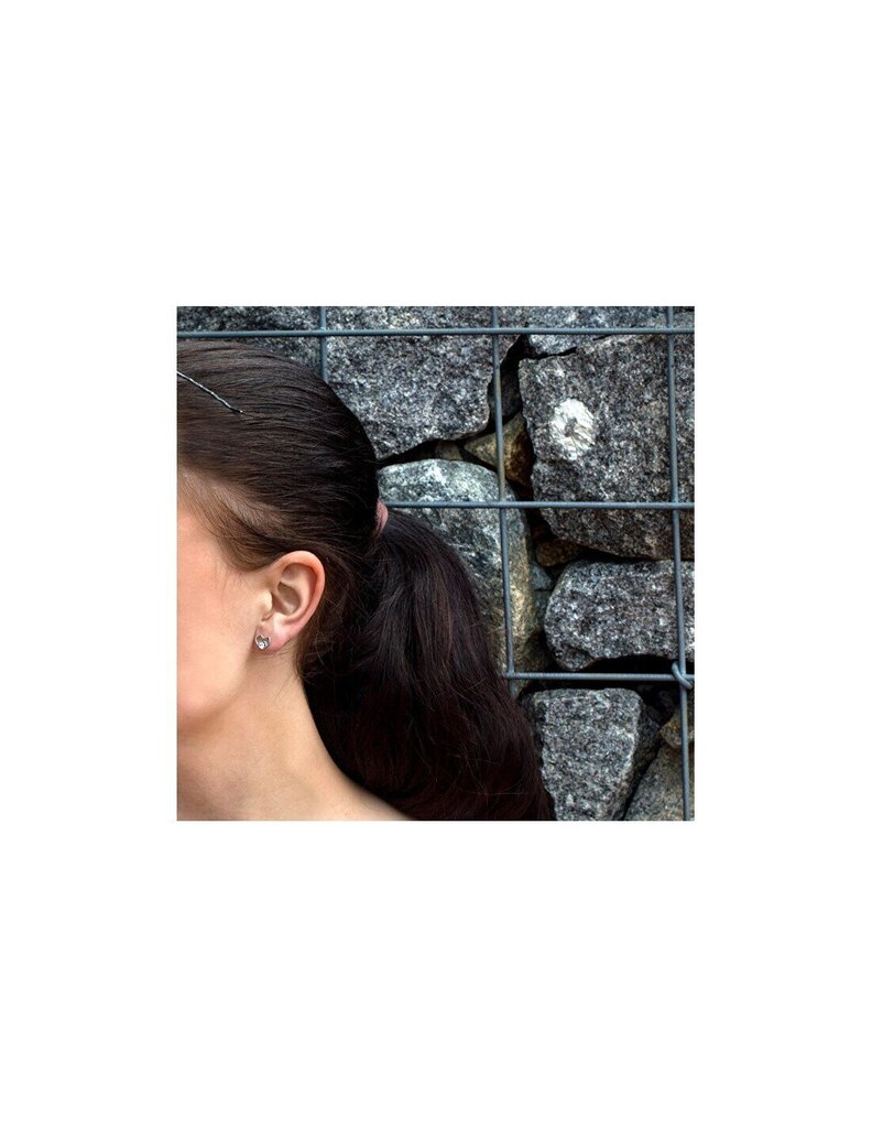 Hõbedased kõrvarõngad naistele Beneto AGUP1472S sBE0513 цена и информация | Kõrvarõngad | hansapost.ee