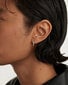 Kõrvarõngad naistele PDPaola PG02726U SPD0573 hind ja info | Kõrvarõngad | hansapost.ee