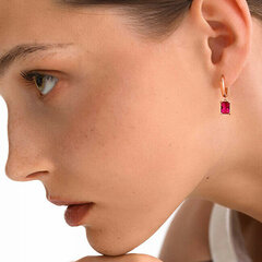 Hõbedased kõrvarõngad ripatsiga naistele Rosato Allegra RZAL016 sRO1312 hind ja info | Kõrvarõngad | hansapost.ee