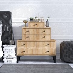 Kummut Kalune Design Dresser 393, pruun hind ja info | Kummutid | hansapost.ee