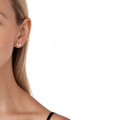 Naiste Kõrvarõngad Michael Kors Premium hind ja info | Kõrvarõngad | hansapost.ee