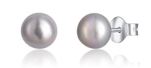 JVD Серебряные серьги с жемчугом SVLE0545XD2P60 sJV0476-8 цена и информация | Серьги | hansapost.ee
