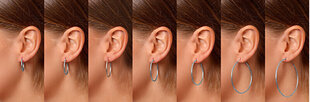 Hõbedased kõrvarõngad naistele Brilio Silver EA020 sBS0966-35 hind ja info | Kõrvarõngad | hansapost.ee