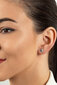 Kuldsed kõrvarõngad naistele Brilio EA519 / 20/21 / 22YAU sBR2085-4 цена и информация | Kõrvarõngad | hansapost.ee