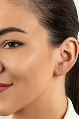 Kuldsed kõrvarõngad naistele Brilio EA519 / 20/21 / 22WAU sBR2084-6 hind ja info | Kõrvarõngad | hansapost.ee