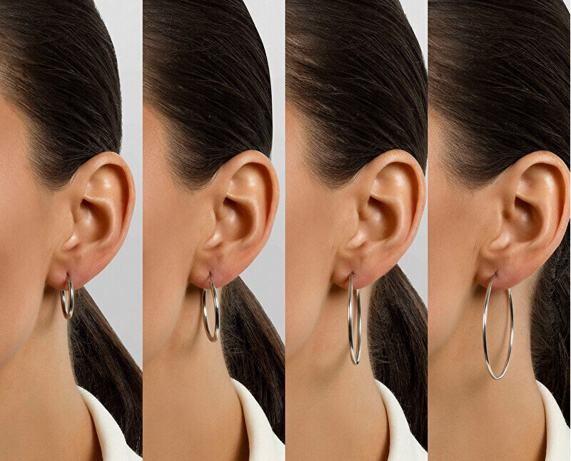 Hõbedased kõrvarõngad naistele Brilio Silver EA69 sBS2690-3 hind ja info | Kõrvarõngad | hansapost.ee