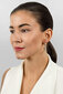 Hõbedased kõrvarõngad naistele Brilio Silver EA69 sBS2690-3 цена и информация | Kõrvarõngad | hansapost.ee