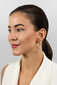 Kullatud kõrvarõngad naistele Brilio Silver EA69Y sBS2691-2 hind ja info | Kõrvarõngad | hansapost.ee