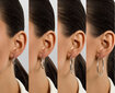Kullatud kõrvarõngad naistele Brilio Silver EA69Y sBS2691-2 hind ja info | Kõrvarõngad | hansapost.ee