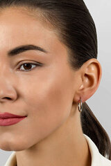 Kullatud kõrvarõngad naistele Brilio Silver EA69R sBS2692-3 hind ja info | Kõrvarõngad | hansapost.ee