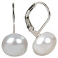 Hõbedased kõrvarõngad naistele JwL Luxury Pearls JL0022 sJL0022 цена и информация | Kõrvarõngad | hansapost.ee