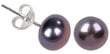 Hõbedased kõrvarõngad naistele JwL Luxury Pearls sJL0028 hind ja info | Kõrvarõngad | hansapost.ee
