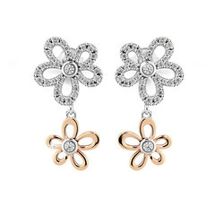 Hõbedased kõrvarõngad naistele Modesi J219CZ-R sMJ0104 price and information | Earrings | hansapost.ee