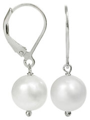 Hõbedased kõrvarõngad naistele JwL Luxury Pearls JL0062 sJL0062 цена и информация | Серьги | hansapost.ee
