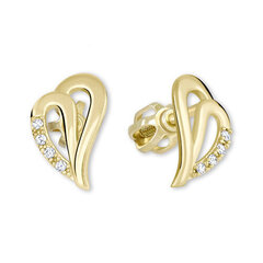 Kuldsed kõrvarõngad naistele Brilio 239 001 00738 sBR0305 hind ja info | Kõrvarõngad | hansapost.ee