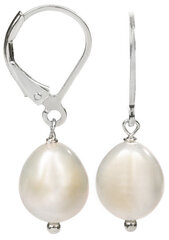 JwL Luxury Pearls Серебряные серьги с белым жемчугом справа JL0148 sJL0148 цена и информация | Серьги | hansapost.ee