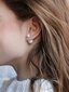 Terasest Kõrvarõngad naistele JwL Luxury Pearls sJL0255 hind ja info | Kõrvarõngad | hansapost.ee