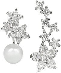 Hõbedased kõrvarõngad naistele JwL Luxury Pearls JL0260 sJL0260 hind ja info | Kõrvarõngad | hansapost.ee