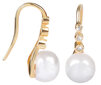 Hõbedased kõrvarõngad naistele JwL Luxury Pearls sJL0411 цена и информация | Kõrvarõngad | hansapost.ee