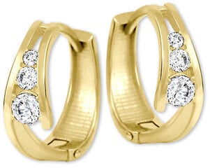 Brilio Золотые серьги кольца с цирконами 239 001 00800 sBR1219 цена и информация | Серьги | hansapost.ee