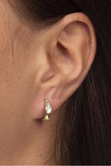 Kuldsed kõrvarõngad tsirkoonidega naistele Brilio 239 001 00800 sBR1219 hind ja info | Kõrvarõngad | hansapost.ee
