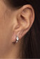 Kuldsed kõrvarõngad kristallidega naistele Brilio 239 001 00800 07 sBR1222 цена и информация | Kõrvarõngad | hansapost.ee