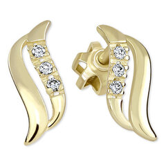 Kuldsed kõrvarõngad naistele Brilio 239 001 00519 sBR1298 hind ja info | Kõrvarõngad | hansapost.ee