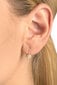 Kõrvarõngad kristallidega naistele Brilio 239 001 00880 sBR1334 hind ja info | Kõrvarõngad | hansapost.ee