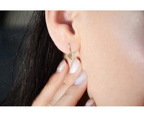 Kuldsed kõrvarõngad naistele Brilio 239 001 00880 07 sBR1335 hind ja info | Kõrvarõngad | hansapost.ee