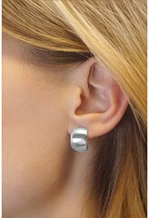Hõbedased kõrvarõngad naistele Silvego QRK53 sSL3423 hind ja info | Kõrvarõngad | hansapost.ee
