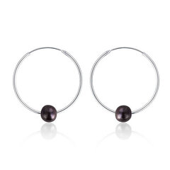 JwL Luxury Pearls Серебряные серьги-круги с настоящим черным жемчугом JL0632 sJL0632 цена и информация | Серьги | hansapost.ee