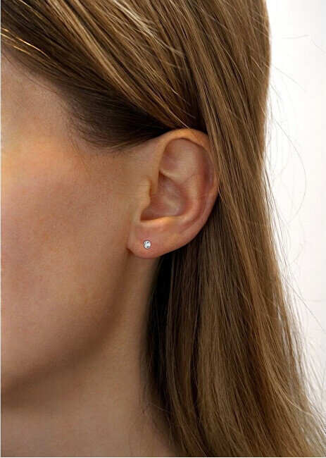 Hõbedased kõrvarõngad naistele Silvego SILVEGO706025W sSL3468 цена и информация | Kõrvarõngad | hansapost.ee
