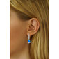 Hõbedased kõrvarõngad naistele Silvego JJJE1267B sSL3507 hind ja info | Kõrvarõngad | hansapost.ee