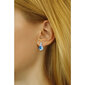 Hõbedased kõrvarõngad naistele Silvego QRE04TE sSL3563 цена и информация | Kõrvarõngad | hansapost.ee