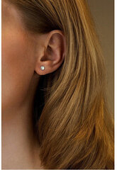 Hõbedased kõrvarõngad naistele Silvego LPS0933W sSL3603 hind ja info | Kõrvarõngad | hansapost.ee
