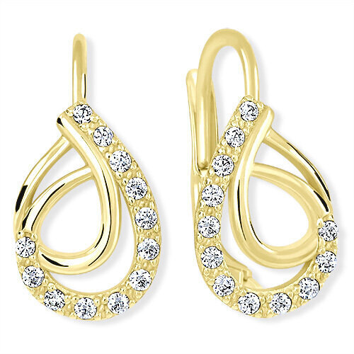 Kuldsed kõrvarõngad kristallidega naistele Brilio 239 001 01065 sBR1684 hind ja info | Kõrvarõngad | hansapost.ee