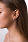 Hõbedased kõrvarõngad naistele Brilio Silver PE077 sBS0758 цена и информация | Kõrvarõngad | hansapost.ee