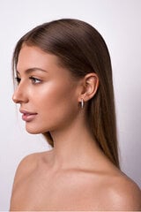 Hõbedased kõrvarõngad naistele Brilio Silver PE077 sBS0758 hind ja info | Kõrvarõngad | hansapost.ee