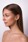 Hõbedased kõrvarõngad naistele Brilio Silver PE077 sBS0758 цена и информация | Kõrvarõngad | hansapost.ee