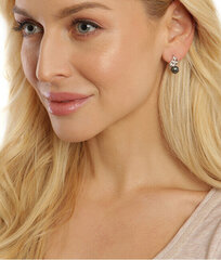 Hõbedased kõrvarõngad naistele JwL Luxury Pearls JL0674 sJL0674 hind ja info | Kõrvarõngad | hansapost.ee