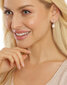 Hõbedased kõrvarõngad naistele JwL Luxury Pearls JL0685 sJL0685 hind ja info | Kõrvarõngad | hansapost.ee