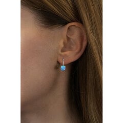 Hõbedased kõrvarõngad naistele Silvego LPS1398M sSL3635 hind ja info | Kõrvarõngad | hansapost.ee