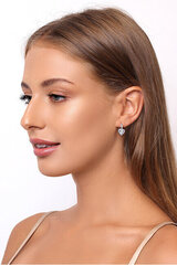 Hõbedased kõrvarõngad naistele Brilio Silver EA53 sBS0995 hind ja info | Kõrvarõngad | hansapost.ee