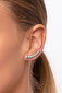 Kullatud kõrvarõngad naistele Brilio Silver EA80Y sBS1049 hind ja info | Kõrvarõngad | hansapost.ee